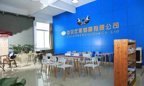 點贊！坦洲一企業入選廣東省工業旅游培育資源庫，文化藝術交流策劃點亮工業新風景
