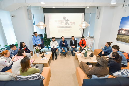 冰雪交融，文化互鑒 2020年冬奧文化交流會公益活動在京成功舉行